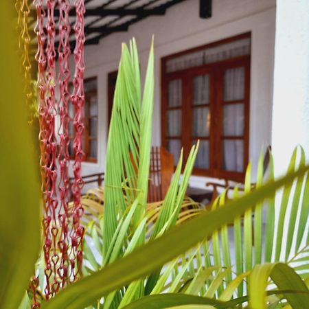 The Cozy Cottage Habarana Exterior photo