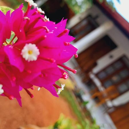 The Cozy Cottage Habarana Exterior photo
