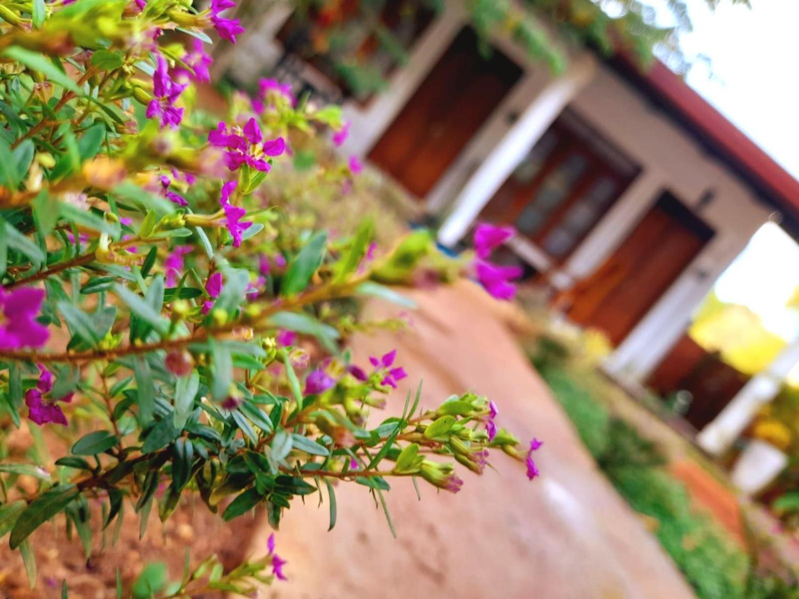 The Cozy Cottage Habarana Exterior photo