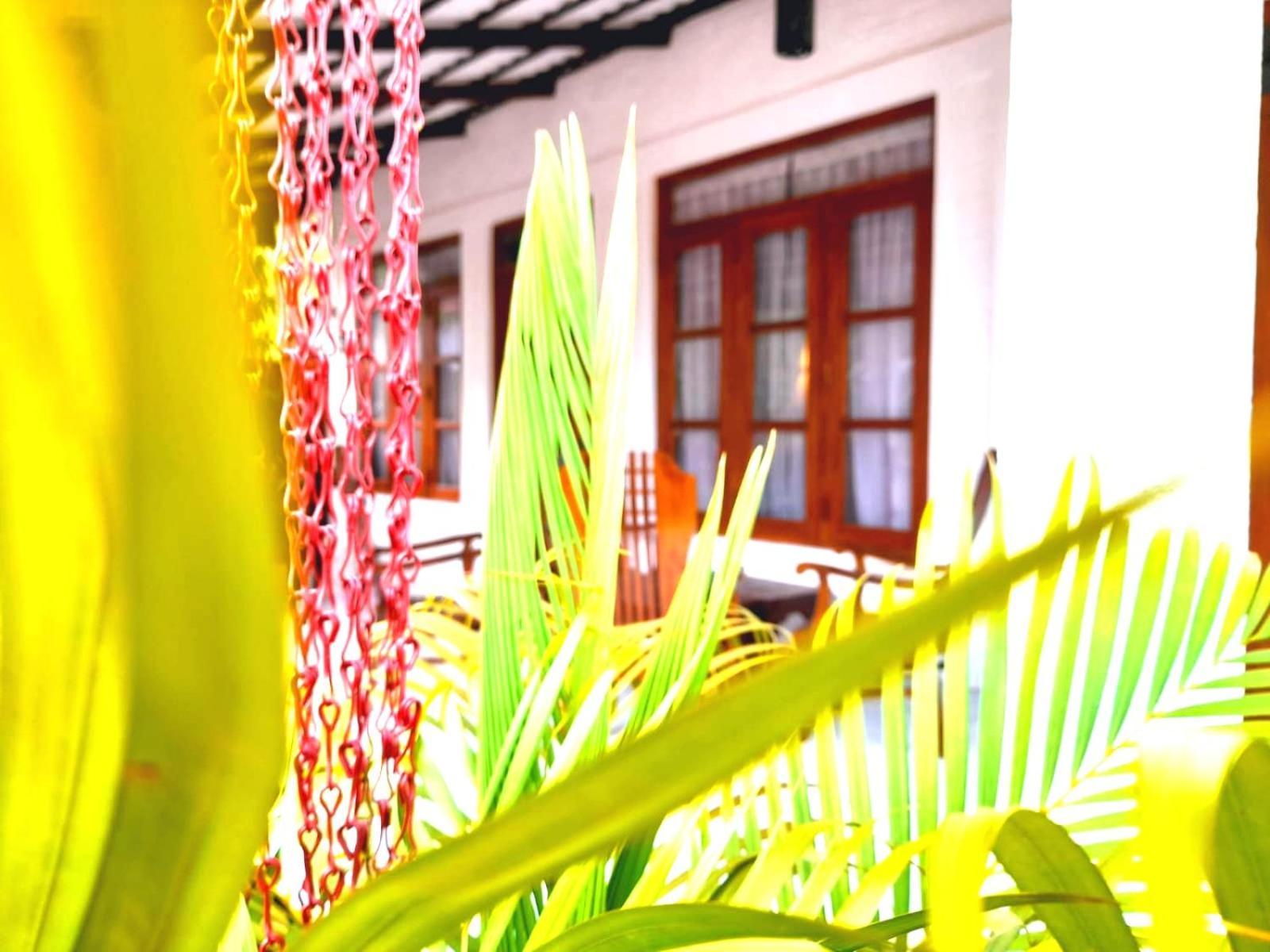 The Cozy Cottage Habarana Exterior photo